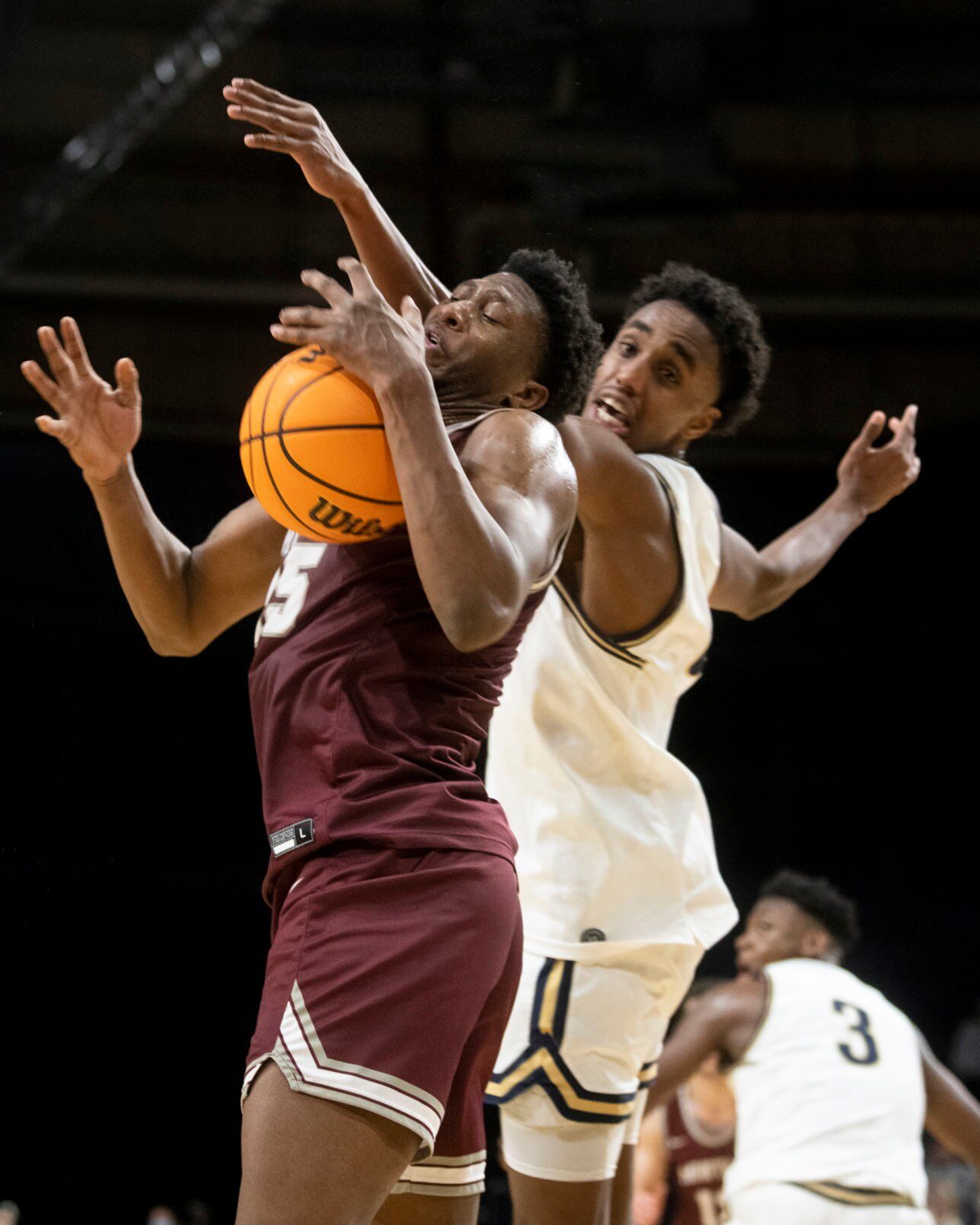 Brawl of the Wild basketball 36.JPG